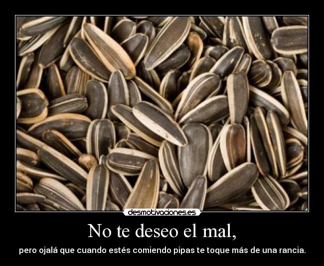 No te deseo el mal, -
