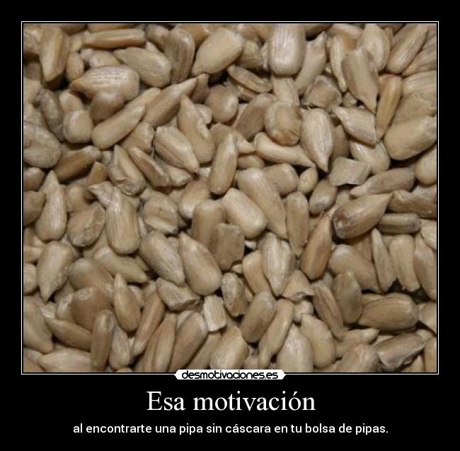 Esa motivación - al encontrarte una pipa sin cáscara en tu bolsa de pipas.