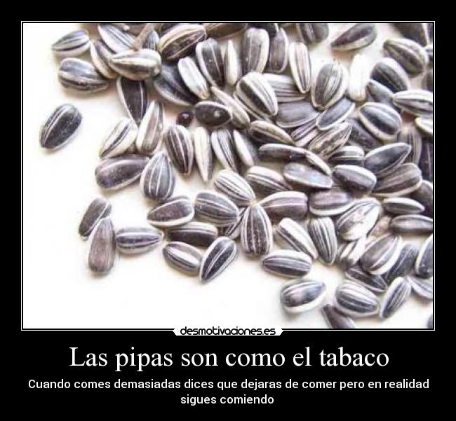 Las pipas son como el tabaco -