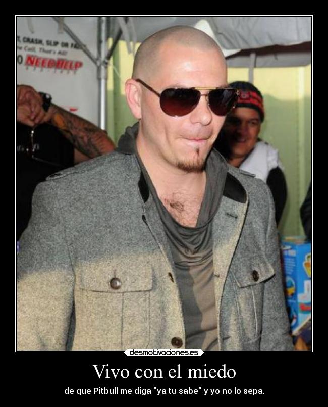 Vivo con el miedo - de que Pitbull me diga ya tu sabe y yo no lo sepa.