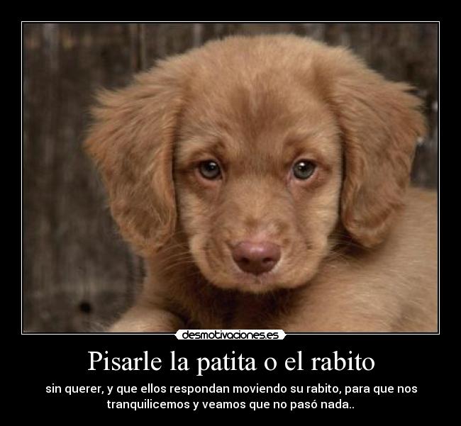 Pisarle la patita o el rabito - 