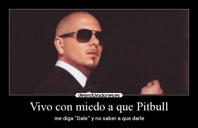 Vivo con miedo a que Pitbull - 