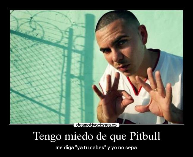 Tengo miedo de que Pitbull - 