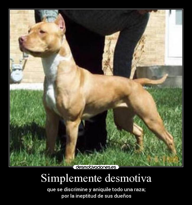 Simplemente desmotiva -