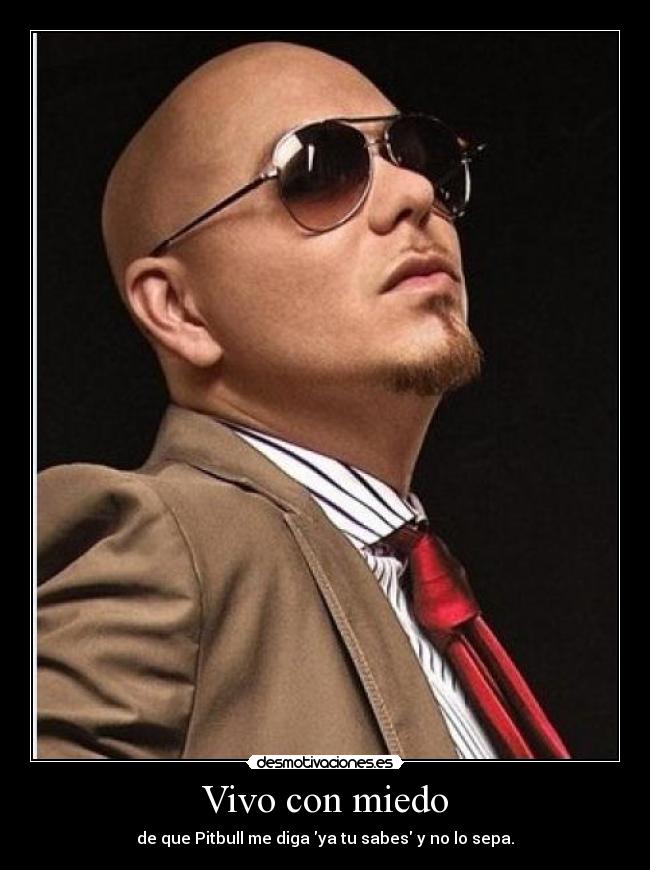 Vivo con miedo - de que Pitbull me diga ya tu sabes y no lo sepa.