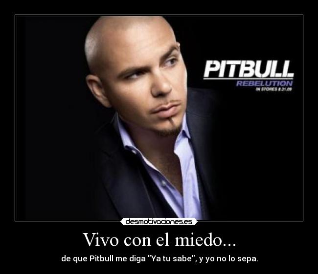 Vivo con el miedo... - de que Pitbull me diga Ya tu sabe, y yo no lo sepa.