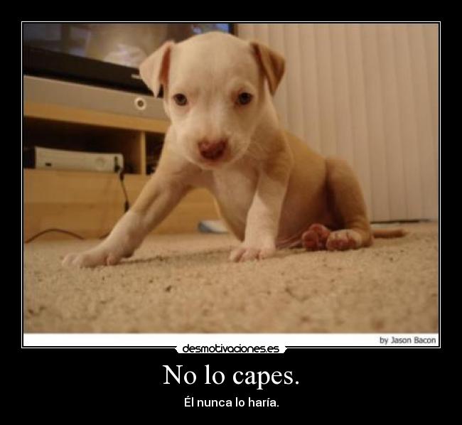 No lo capes. - Él nunca lo haría.
