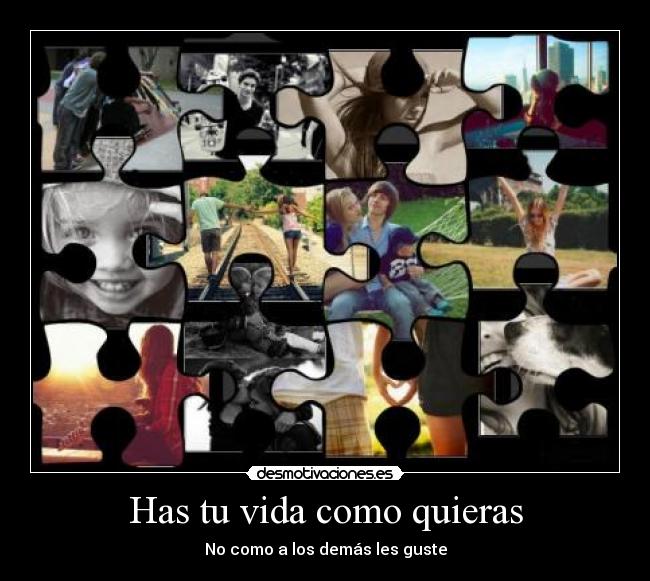 carteles vida vida desmotivaciones