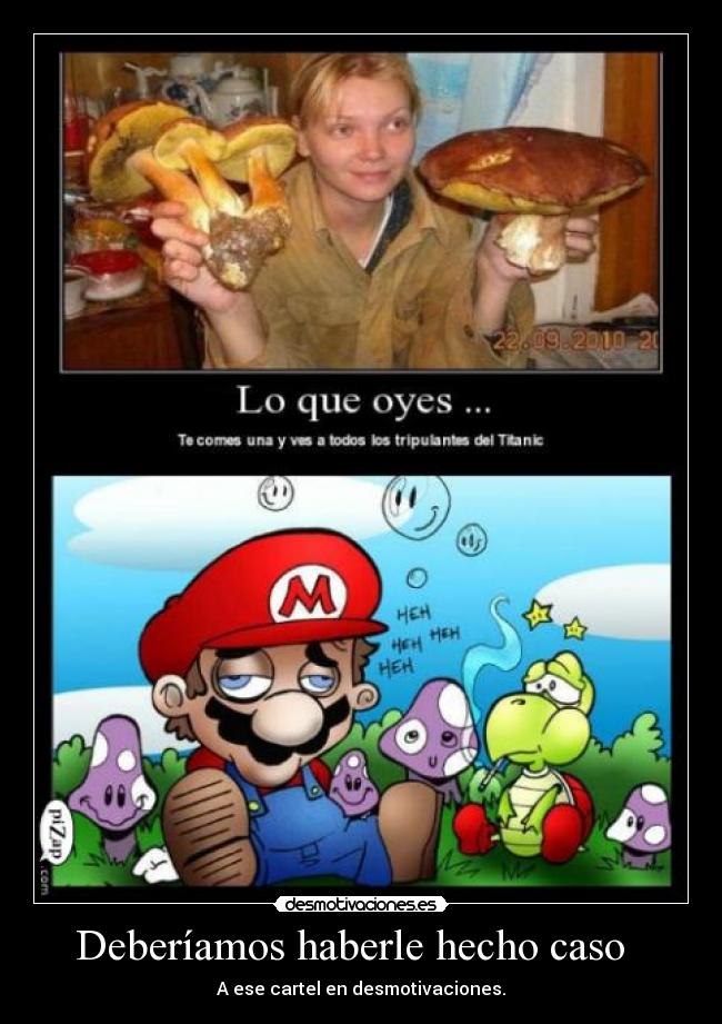 Deberíamos haberle hecho caso   - 