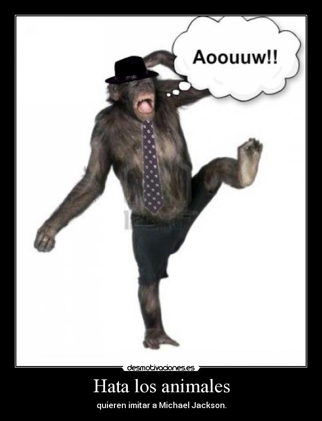 Hata los animales - 