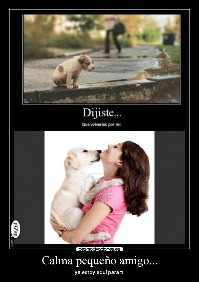 carteles tecknner desmotivaciones