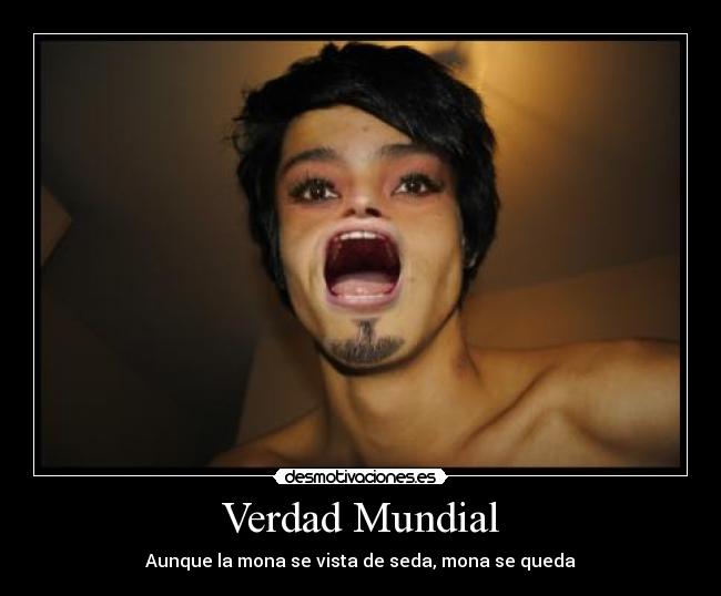 Verdad Mundial - Aunque la mona se vista de seda, mona se queda