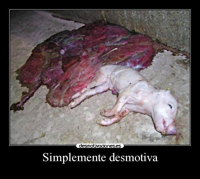 Simplemente desmotiva -