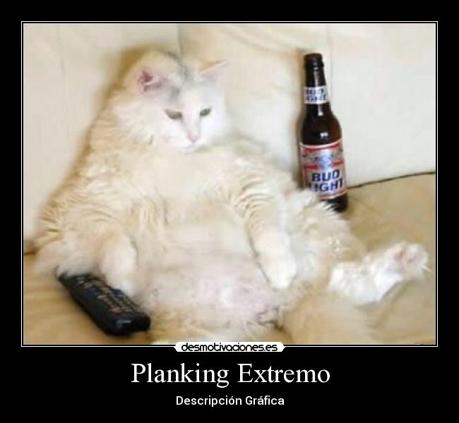 carteles para los que cotidianamente hacen este deporte jajaja desmotivaciones