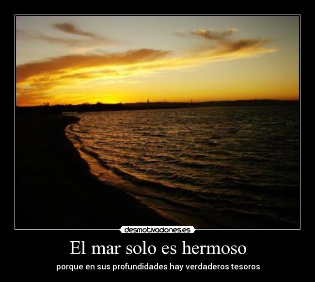 El mar solo es hermoso - porque en sus profundidades hay verdaderos tesoros