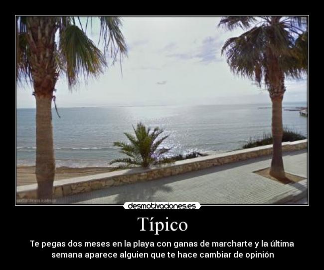 Típico - 