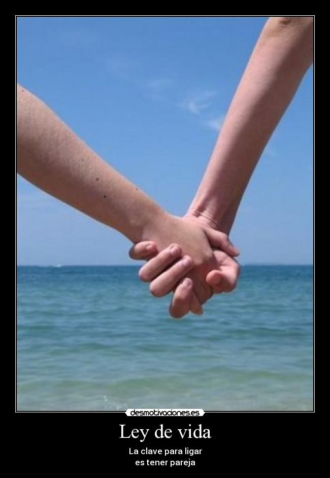 Ley de vida - La clave para ligar
es tener pareja
