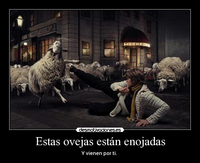 Estas ovejas están enojadas - Y vienen por ti. 