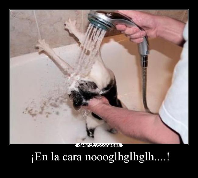 ¡En la cara noooglhglhglh....! -