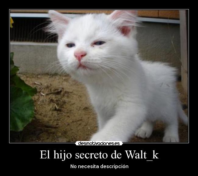El hijo secreto de Walt_k - 