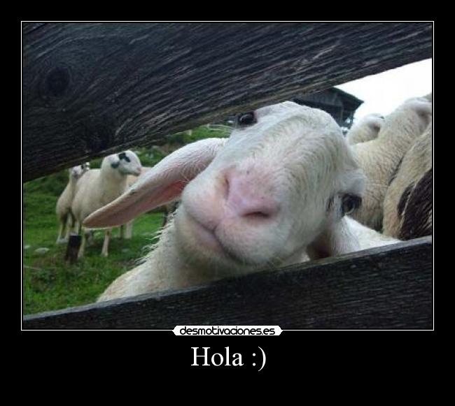 Hola :) - 