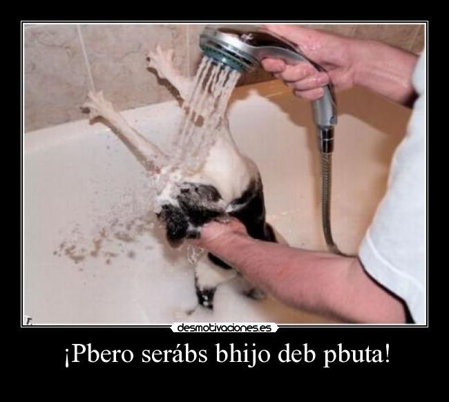 ¡Pbero serábs bhijo deb pbuta! -
