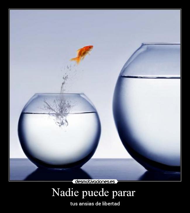 Nadie puede parar  - 