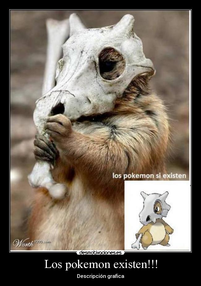 Los pokemon existen!!! -