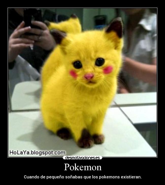 Pokemon - Cuando de pequeño soñabas que los pokemons existieran.