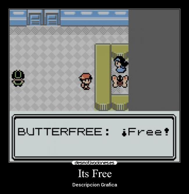 Its Free - Descripcion Grafica