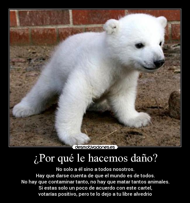 ¿Por qué le hacemos daño? - 