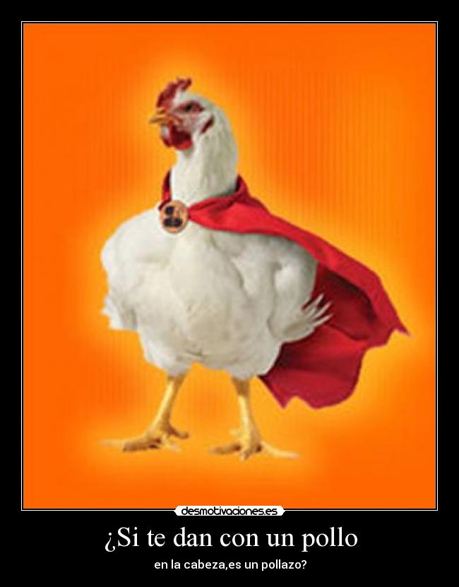 ¿Si te dan con un pollo - en la cabeza,es un pollazo?