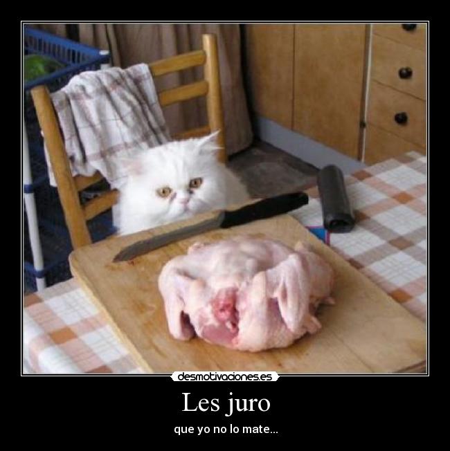 Les juro - 