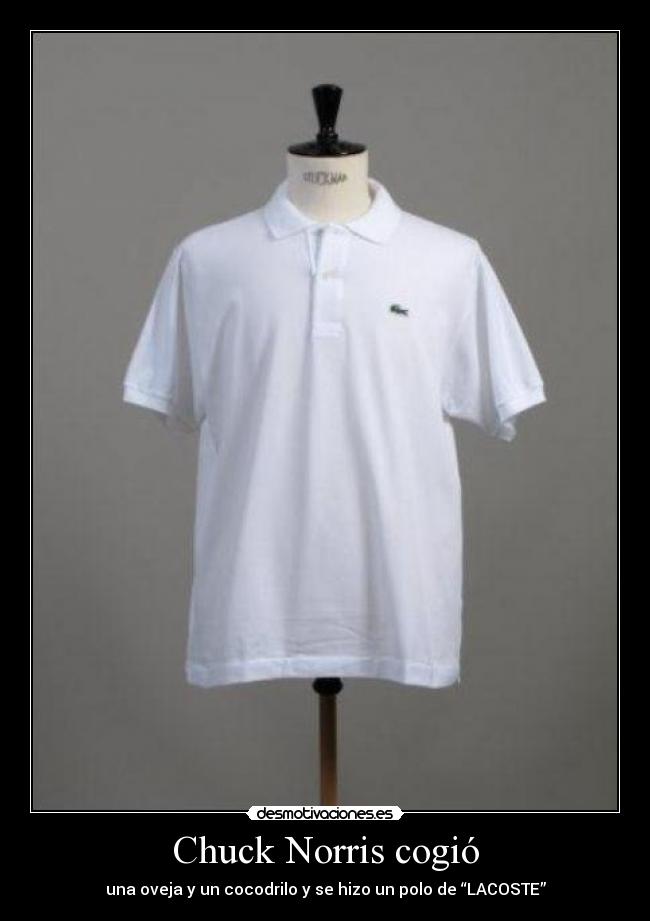 Chuck Norris cogió - una oveja y un cocodrilo y se hizo un polo de “LACOSTE”