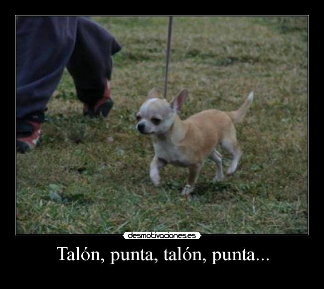 Talón, punta, talón, punta... - 