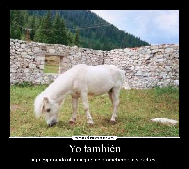 Yo también -