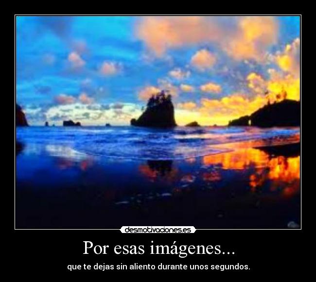 carteles propio desmotivaciones