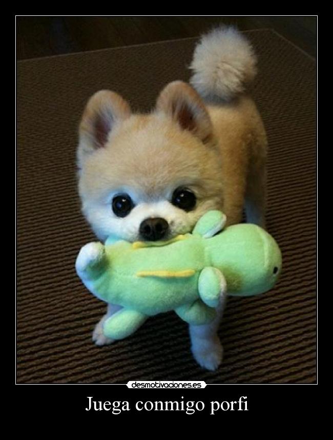 Juega conmigo porfi -