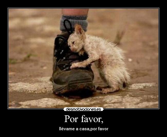 Por favor, - llévame a casa,por favor