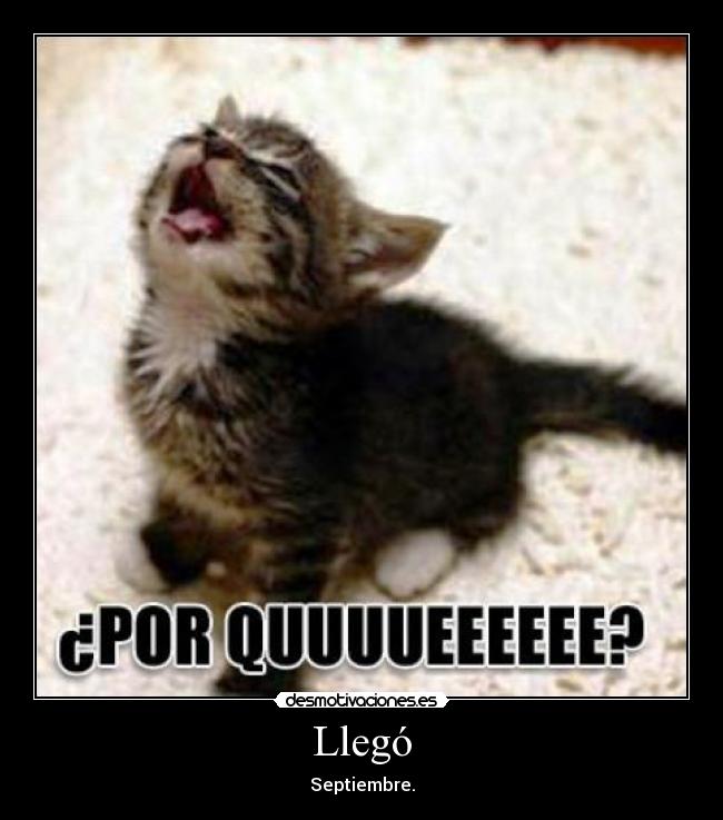 Llegó - Septiembre.