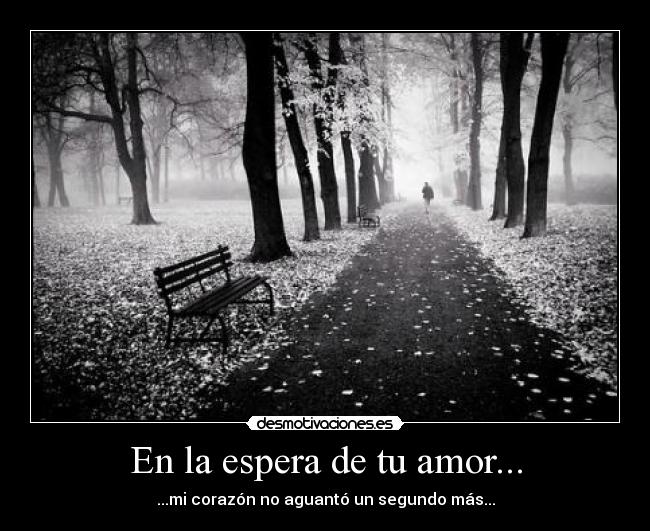 En la espera de tu amor... - 