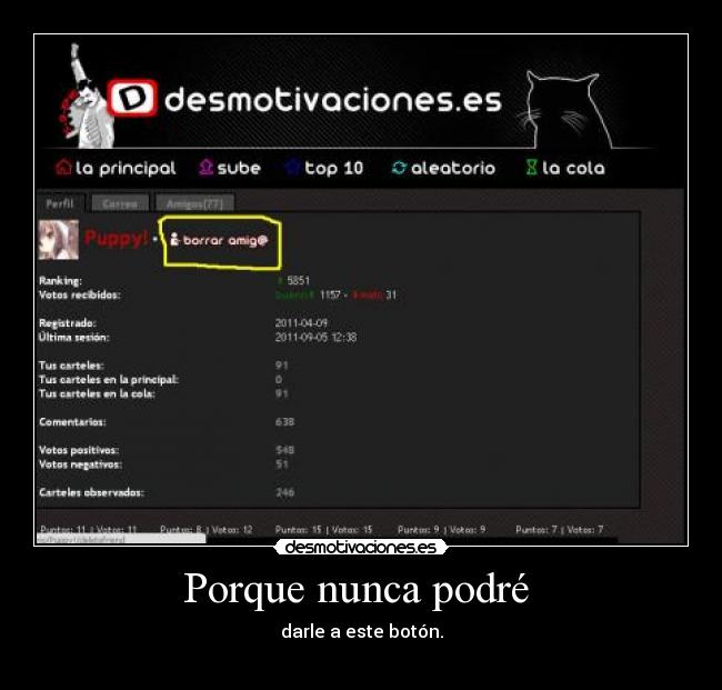 Porque nunca podré -