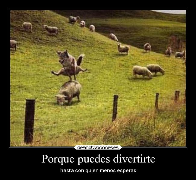 carteles porque puedes divertirte hasta con quien menos esperas desmotivaciones