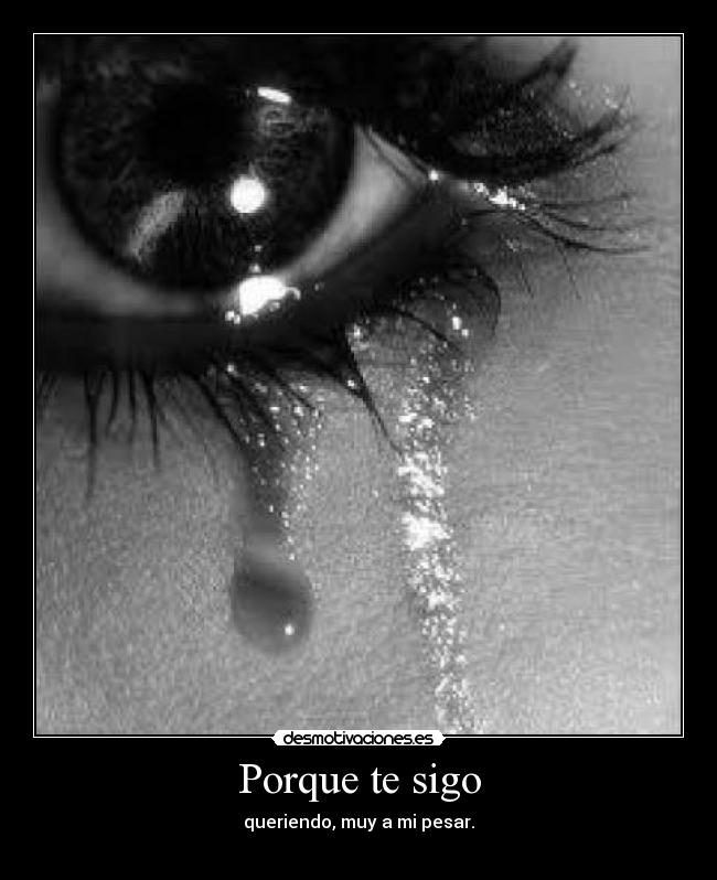 Porque te sigo -