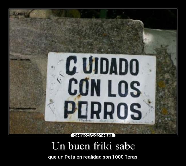 Un buen friki sabe - que un Peta en realidad son 1000 Teras.