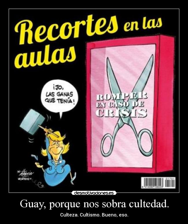 carteles los recortes educacion desmotivaciones