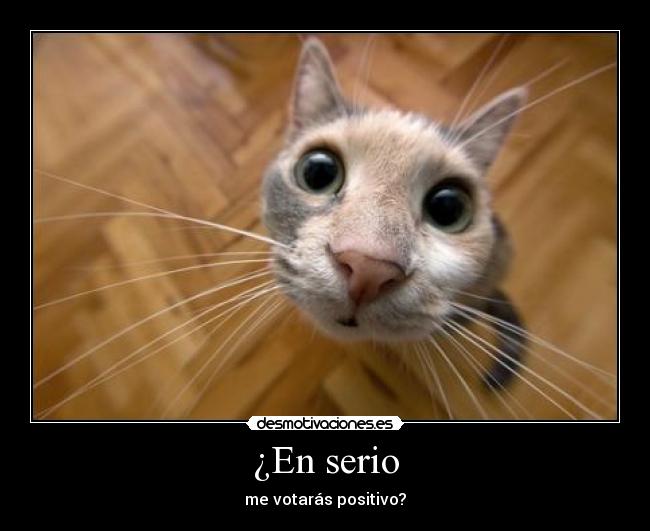 ¿En serio - me votarás positivo?