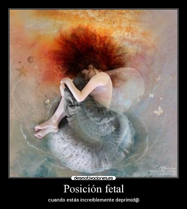 Posición fetal - 
