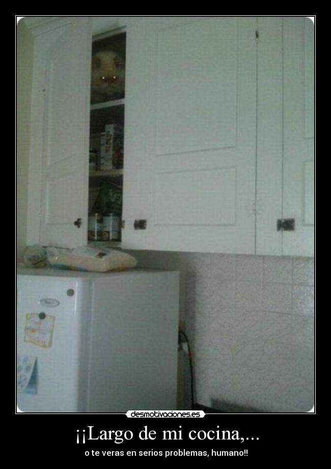 ¡¡Largo de mi cocina,... -
