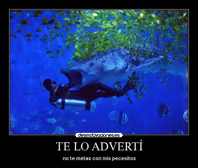 TE LO ADVERTÍ -